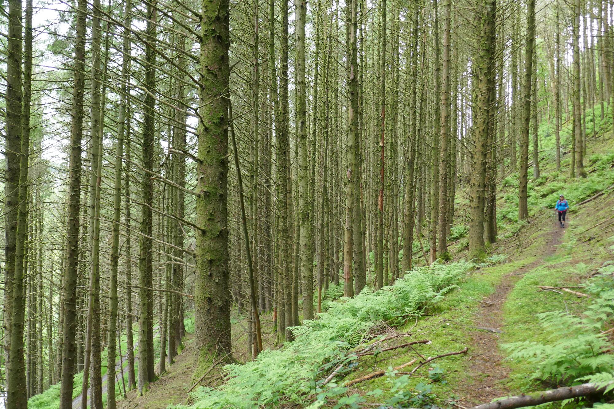 RachelSeabrook.net | Wild Walking | Devils-Bridge; pic27